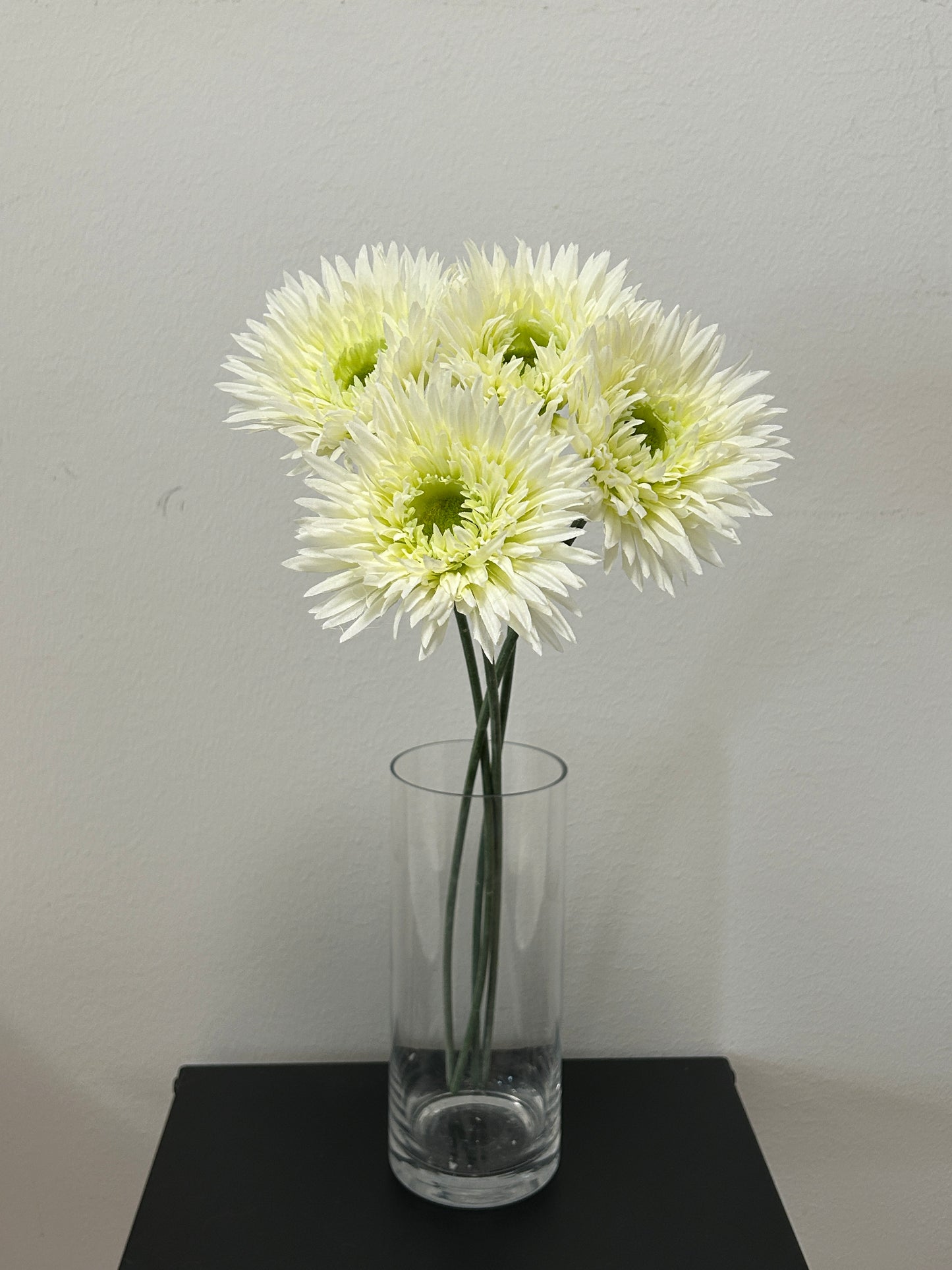 Valkoinen Gerbera