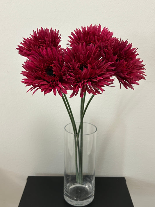 Viininpunainen Gerbera